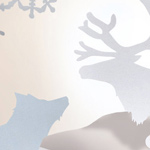 Mercedes Benz Accessories